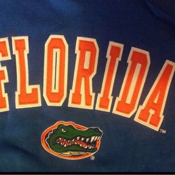 Florida Gators UF Men’s L LARGE Sewn Logo Blue Drawstring Hoodie Sweatshirt NWT - Picture 3 of 6